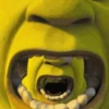Shrek 12