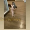 ENTRADAS Y SALIDAS ÉPICAS😎 10