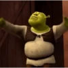 Shrek MEMES 💚 17