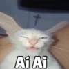 New Memes 17