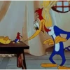 Woody Woodpecker 15