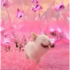 Pibble The DogTikTok🐾✨ 12