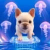 Pibble The DogTikTok🐾✨ 5