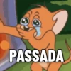 MEMES ALEATÓRIOS🤪 12