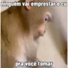 🐒 Macaco | Deboche Sincerão 7