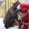 Feliz Natal 29