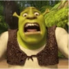 Shrek MEMES 💚 8