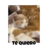 Gatos responden 🐱🌟 14