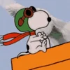 🦴🏠 SNOOPY 12 🏠🦴 15