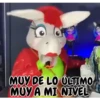 Burrita Burrona 27