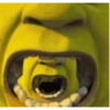Shrek MEMES 💚 11