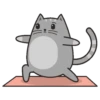 🐱Gatito🖤Gris🤍 19