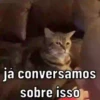 SUGESTÕES DA SEMANA ⭐️ 8