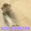 REAJA COM GATINHOS 😸🐈 11