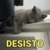 Figurinhas para whatsapp 13