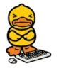 Male Duck 6