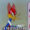 Pica pau nervoso 10