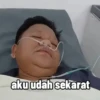 Kak gem 7
