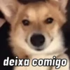 SUGESTÕES DA SEMANA ⭐️ 5