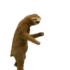 🕺•🪩Bailecitos🪩•🕺 15