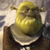 Shrek MEMES 💚 6