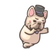 Dog 16