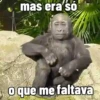 🐒 Macaco | Deboche Sincerão 2
