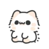 Cat Lover🫶🏻 8
