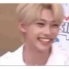 StrayKids 2 15