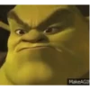 Shrek MEMES 💚 5