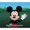 Mickey mouse 22