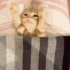 ANIMALITOS 🥺😍 18