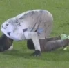Fútbol / Football Moments #1 24