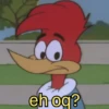 PICA PAU 🪾 WOODY WOODPECKER 14