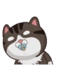 Kucing gemoy 1 15