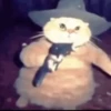 ANIMALITOS 2 🥺😍 21