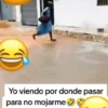 Lluvia  14