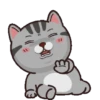 Kucing gemoy 1 27