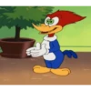 PICA PAU 🪾 WOODY WOODPECKER 19