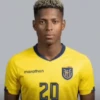 ⚽ Ecuador World Cup 🇪🇨 16