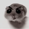 ❦̷ ⃝⃔❤⃪ᭂƘ⃪Cɦeᥲ𝛛ᥲ᬴᭄⃕͜
Hamster 19