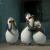 Pinguins de Madagascar 11
