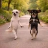 टिकटॉक के पिल्ले 🐶🎵  8