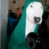 Só doguin🐶 13