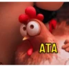 ANIMADAS DA ZOEIRA 14