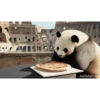 POOOLPIZZA 6