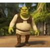Shrek MEMES 💚 18