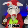 Burrita Burrona 24