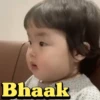 Koria Baby Girls Expression 10