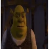 Shrek MEMES 💚 16